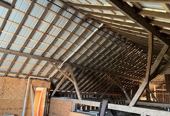 Interior of a barn showing timber trusses and new roof purlins